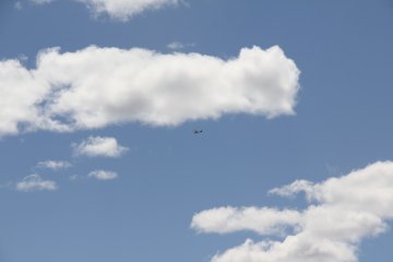 IMG_9528.JPG