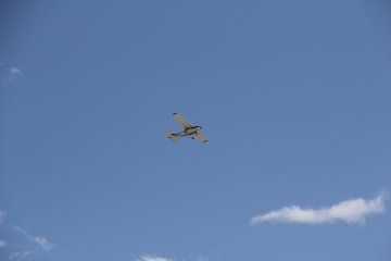 IMG_9529.JPG
