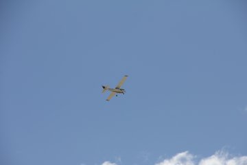 IMG_9531.JPG