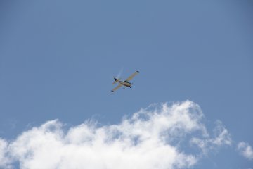 IMG_9532.JPG