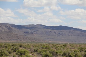 IMG_9533.JPG