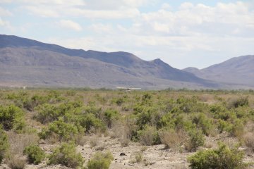 IMG_9534.JPG