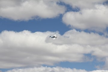 IMG_9556.JPG