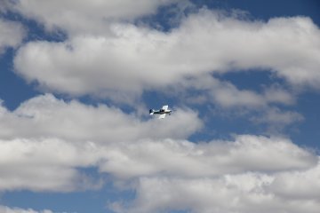 IMG_9557.JPG