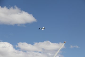 IMG_9558.JPG