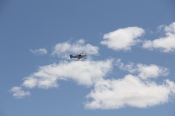 IMG_9562.JPG