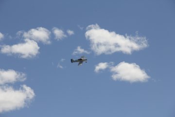 IMG_9563.JPG