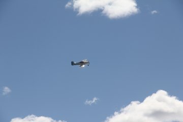 IMG_9564.JPG