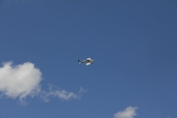 IMG_9565.JPG