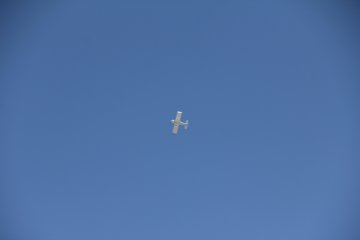 IMG_9592.JPG