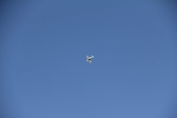 IMG_9594.JPG