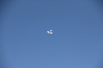 IMG_9596.JPG