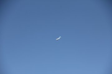 IMG_9597.JPG