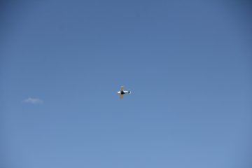 IMG_9600.JPG