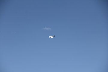 IMG_9601.JPG