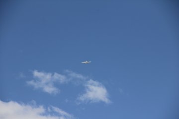 IMG_9604.JPG