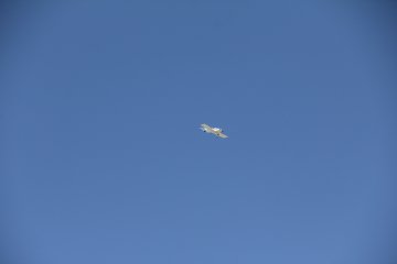 IMG_9606.JPG