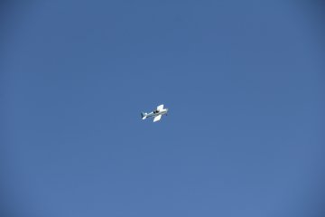 IMG_9607.JPG