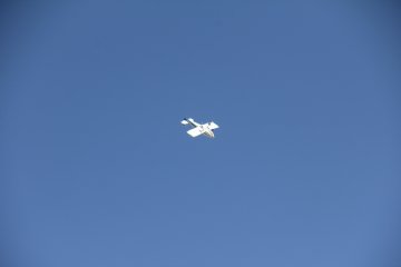 IMG_9611.JPG