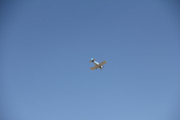 IMG_9614.JPG