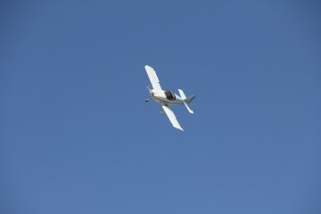 IMG_9620.JPG