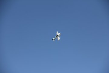 IMG_9625.JPG