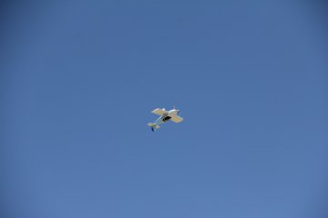 IMG_9628.JPG