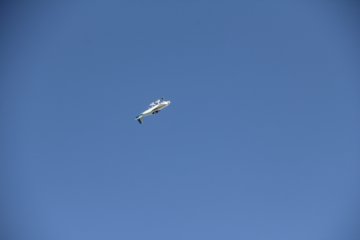 IMG_9629.JPG