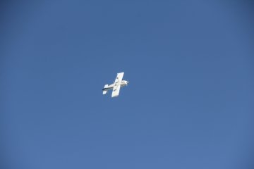 IMG_9630.JPG
