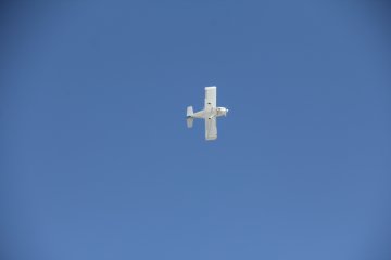 IMG_9631.JPG