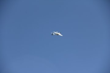 IMG_9637.JPG