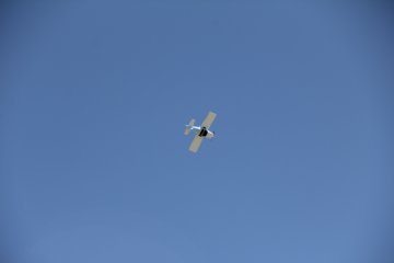 IMG_9639.JPG