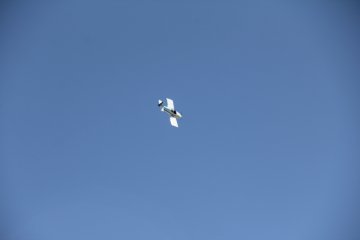 IMG_9641.JPG