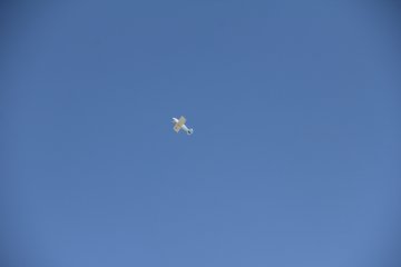 IMG_9646.JPG