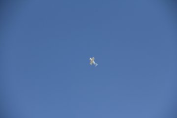 IMG_9647.JPG