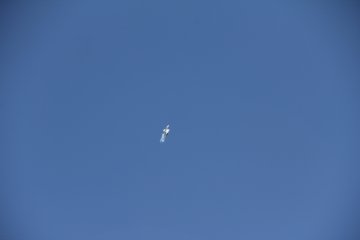 IMG_9649.JPG
