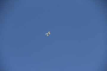 IMG_9651.JPG