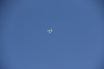 IMG_9652.JPG