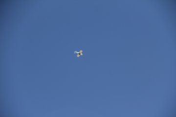 IMG_9653.JPG