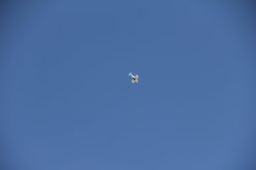 IMG_9654.JPG