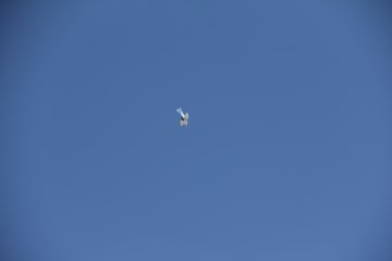 IMG_9655.JPG