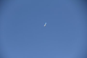 IMG_9656.JPG