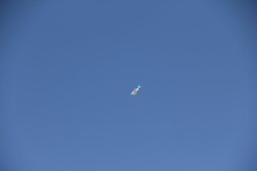 IMG_9657.JPG