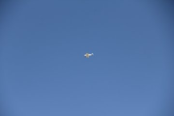 IMG_9658.JPG