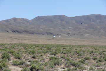 IMG_9660.JPG