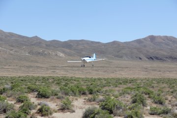 IMG_9663.JPG