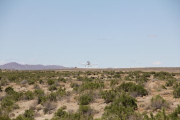 IMG_9666.JPG