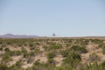 IMG_9667.JPG
