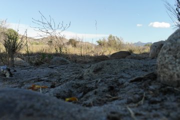 DJI_0463.JPG