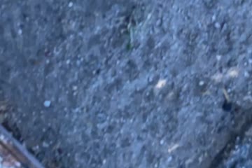 IMG_5689.MP4